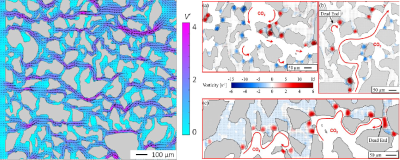 Velocity and vorticity fields during CO2 drainage experiment