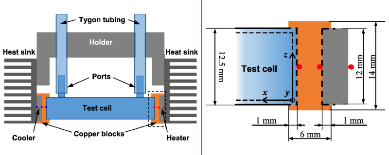 Test cell used for the study of evaporative heat transfer films