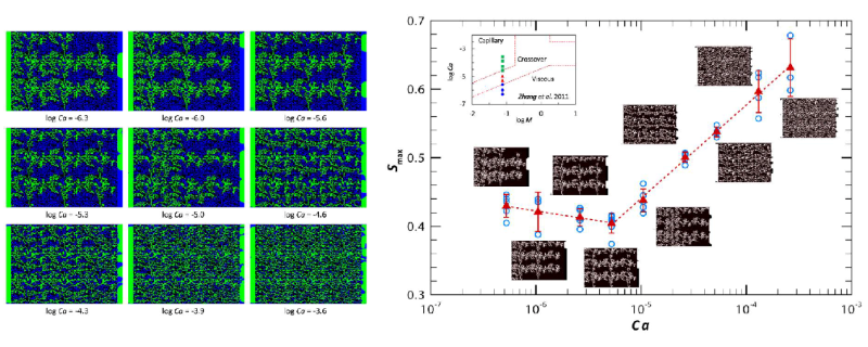 Flow patterns as water is displaced by supercritical CO2 at various capillary numbers